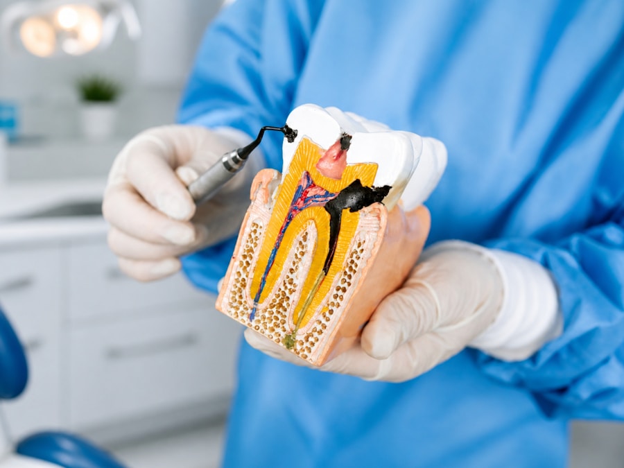 Case consultation using a dental model to explain treatment options.